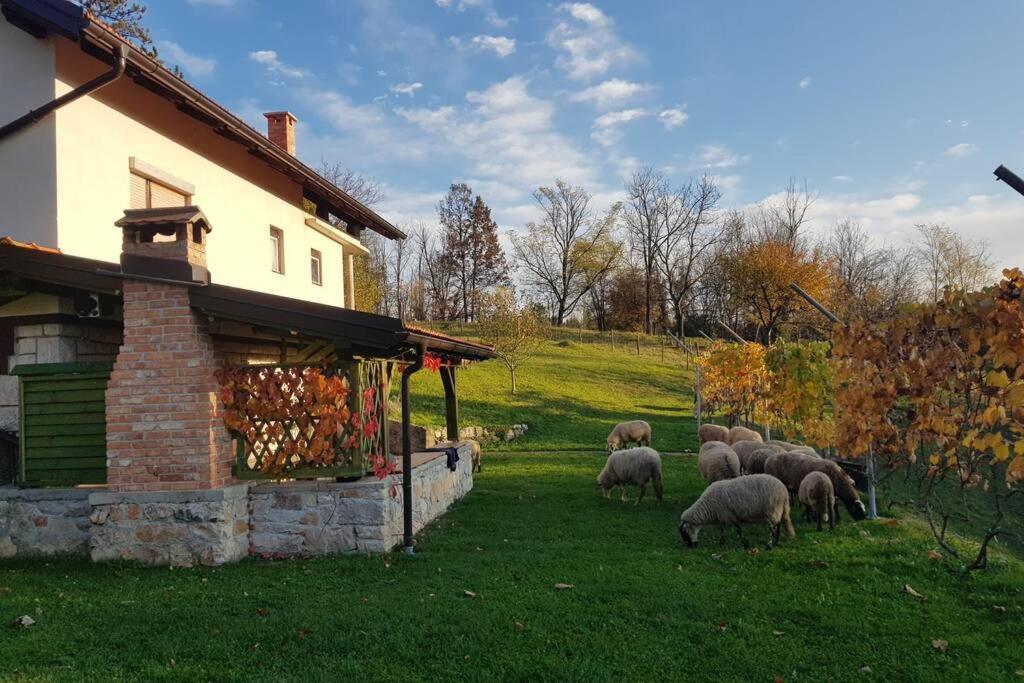 Guest House Pinus Generalski Stol Екстериор снимка