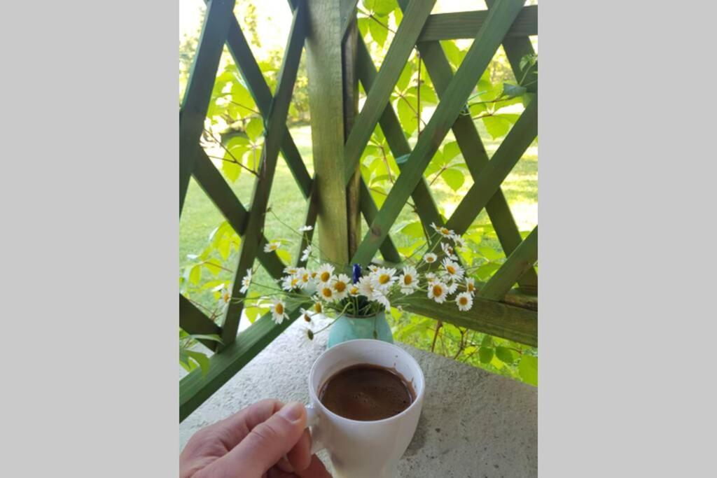 Guest House Pinus Generalski Stol Екстериор снимка